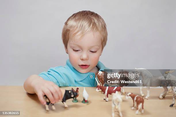 boy playing with toy farm animals - toy animal stockfoto's en -beelden