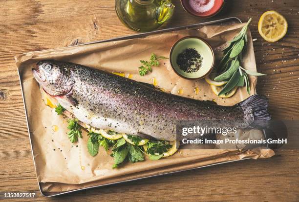 salmon trout with herbs and lemons - sea trout stock pictures, royalty-free photos & images