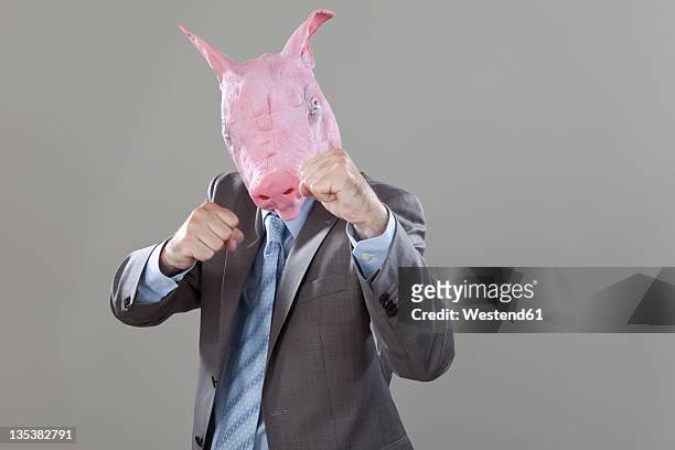 close up of businessman with pigs head fighting in office against grey background - funny boxing stock-fotos und bilder