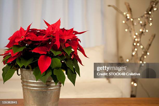 christmas star on table - christmas star stock pictures, royalty-free photos & images