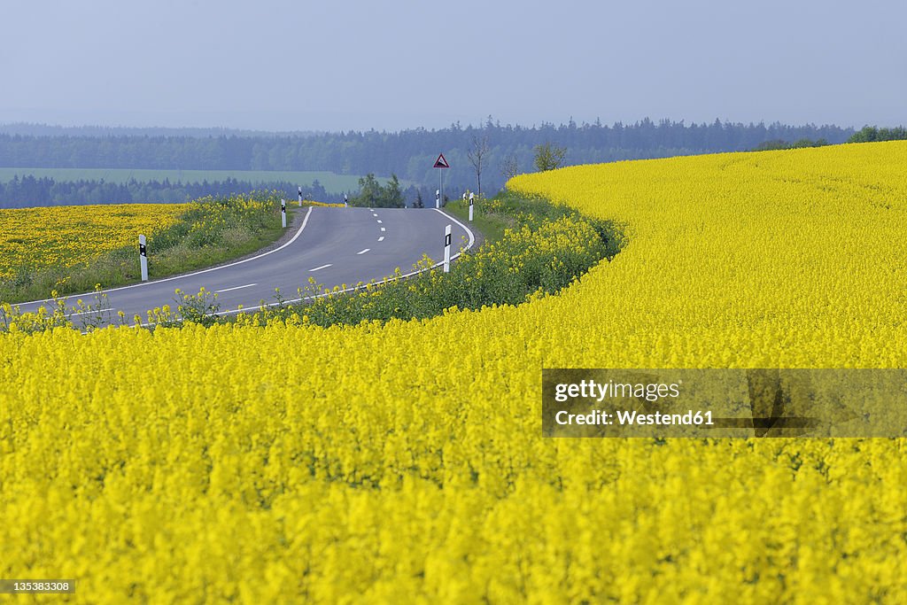 Germany, Bavaria, View of rural road with yellow flowering rapeseed field