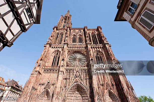 france, alsace, strasbourg, view of notre dame cathedral with frame houses - straßburg stock-fotos und bilder