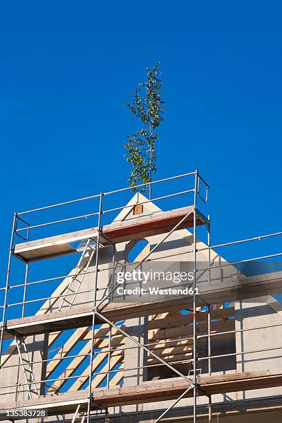 germany, baden-wurttemberg, stuttgart, view of scaffolded building with topping-out tree - topping out ceremony stock pictures, royalty-free photos & images