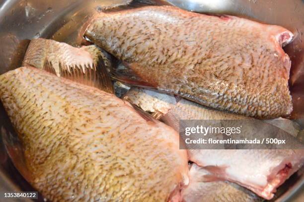 high angle view of fishes in container - carp stock pictures, royalty-free photos & images