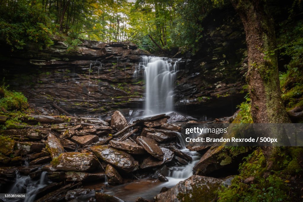Scenic view of waterfall in forest