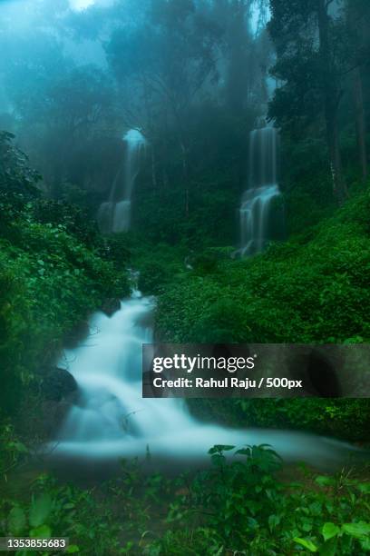 scenic view of waterfall in forest,munnar,kerala,india - kerala waterfall stock pictures, royalty-free photos & images