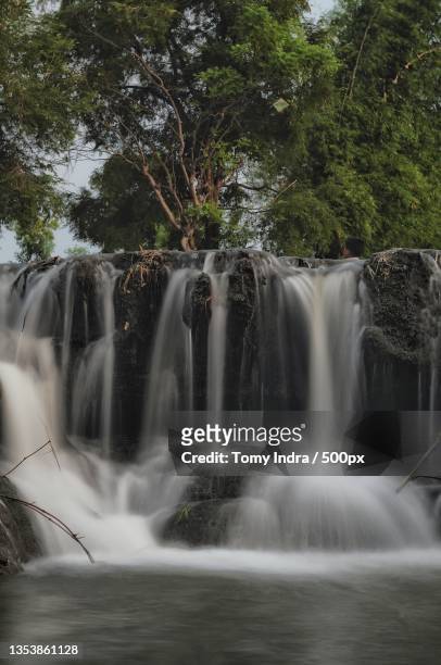 scenic view of waterfall in forest - tomy stock pictures, royalty-free photos & images