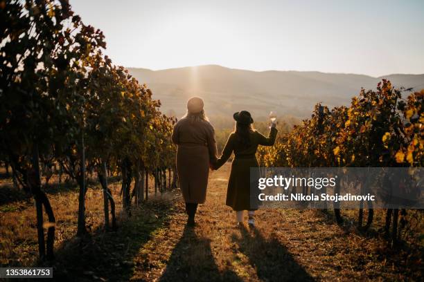 girlfriends enjoy a glass of wine in the vineyard - wine picnic stock pictures, royalty-free photos & images