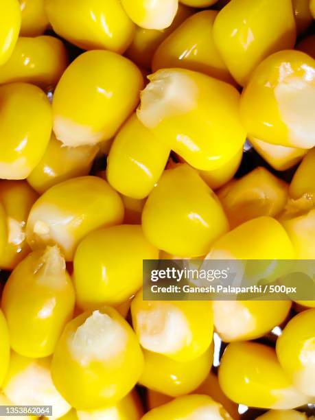 full frame shot of yellow bell peppers for sale at market stall - chicco di mais foto e immagini stock