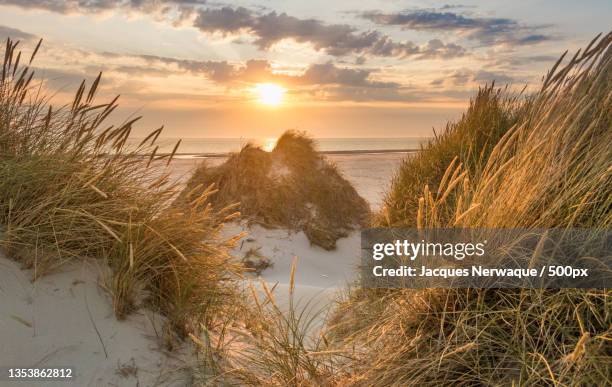 scenic view of sea against sky during sunset,amrum,germany - amrum stock-fotos und bilder