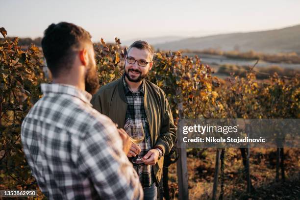 enólogo habla con un amigo en el viñedo - wine maker fotografías e imágenes de stock