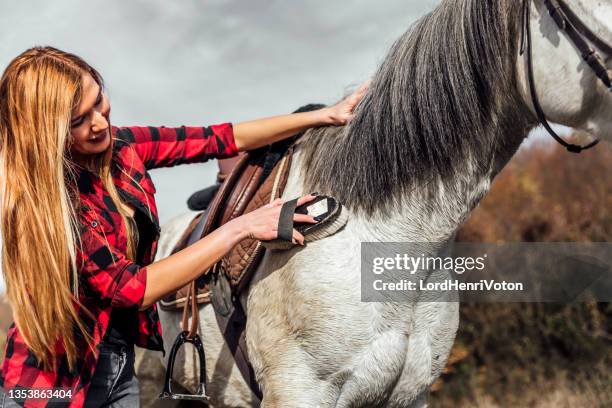 woman grooming and scrubbing horse - comb stock pictures, royalty-free photos & images