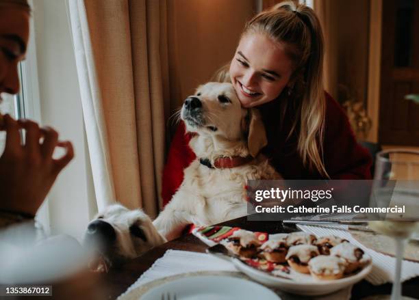 two young woman sit a dining table with a golden retriever perched between them - toxisch soziales konzept stock-fotos und bilder