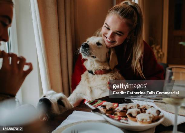 two young woman sit a dining table with a golden retriever perched between them - christmas dog 個照片及圖片檔