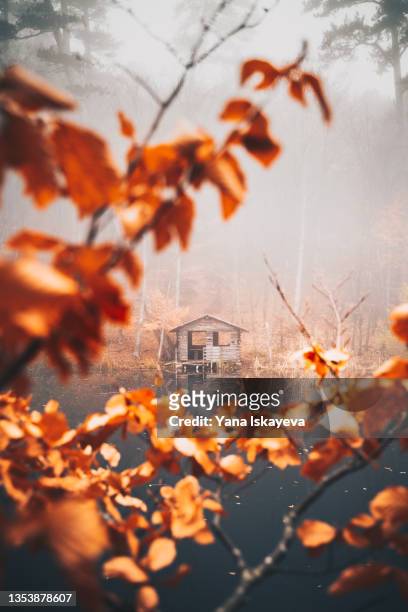 beautiful autumn landscape with a wooden house through the orange leaves - arid woodlands stock-fotos und bilder