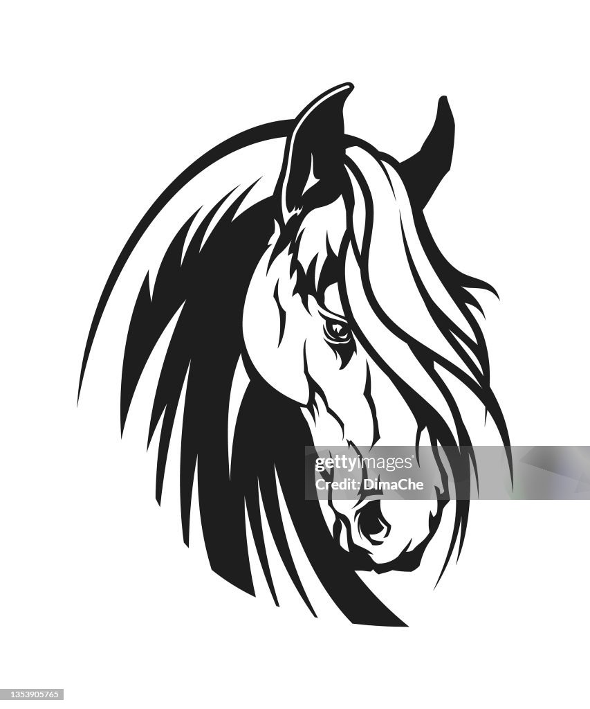 Horse head outline silhouette