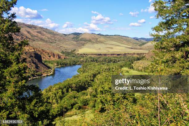 river and nature in idaho - idaho falls stock-fotos und bilder