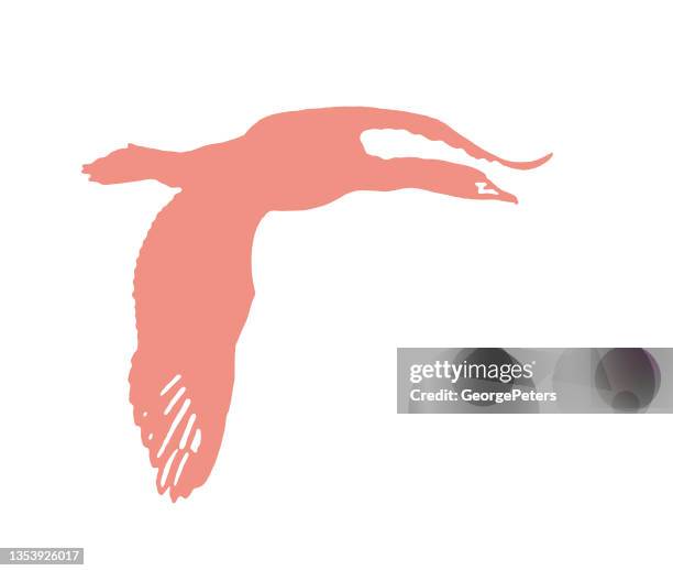 double-crested cormorant flying - double crested cormorant stock illustrations