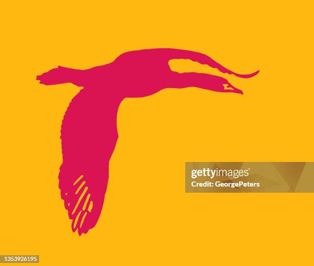 double-crested cormorant flying - double crested cormorant stock illustrations