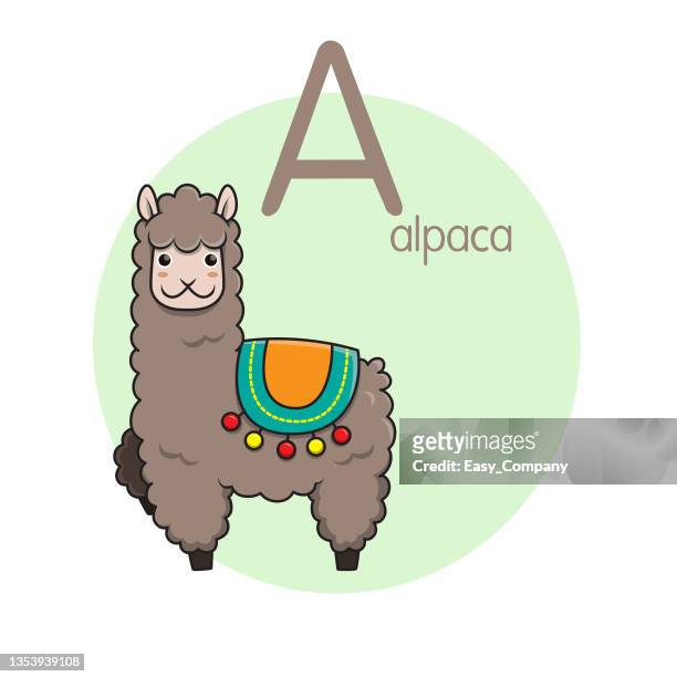 vector illustration of alpaca with alphabet letter a upper case or capital letter for children learning practice abc - alpaca stock illustrations