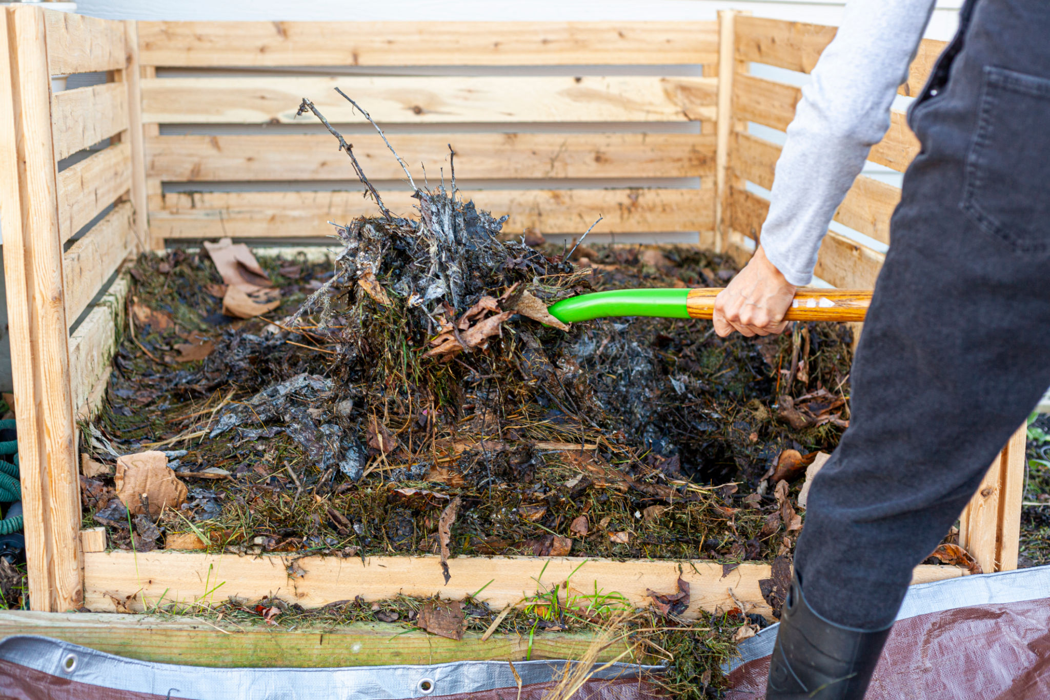 compost pile