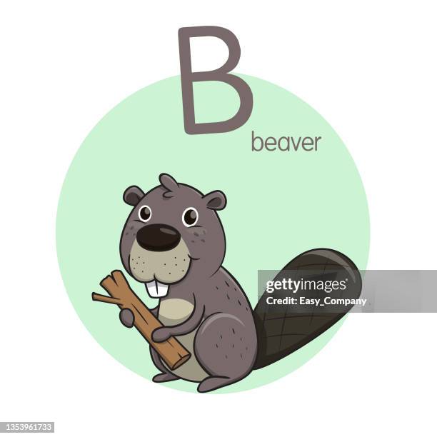 Abc Beaver Beaver Cartoon Photos and Premium High Res Pictures - Getty Images