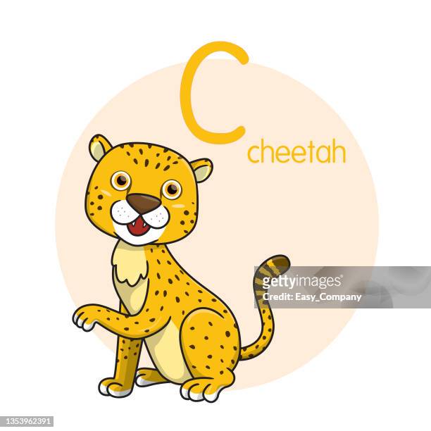 ilustraciones, imágenes clip art, dibujos animados e iconos de stock de ilustración vectorial de guepardo con letra del alfabeto c mayúscula o mayúscula para niños que aprenden práctica abc - piel leopardo
