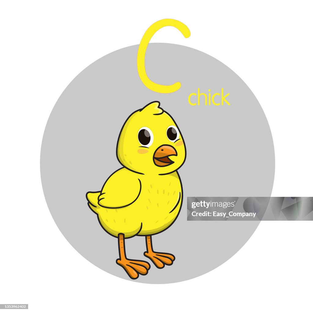 Vector illustration of Chicken with alphabet letter C Upper case or capital letter for children learning practice ABC