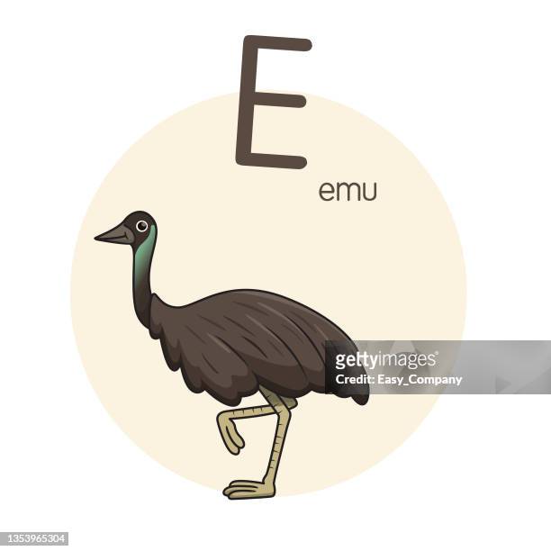 vector illustration of emu with alphabet letter e upper case or capital letter for children learning practice abc - word of mouth stock illustrations