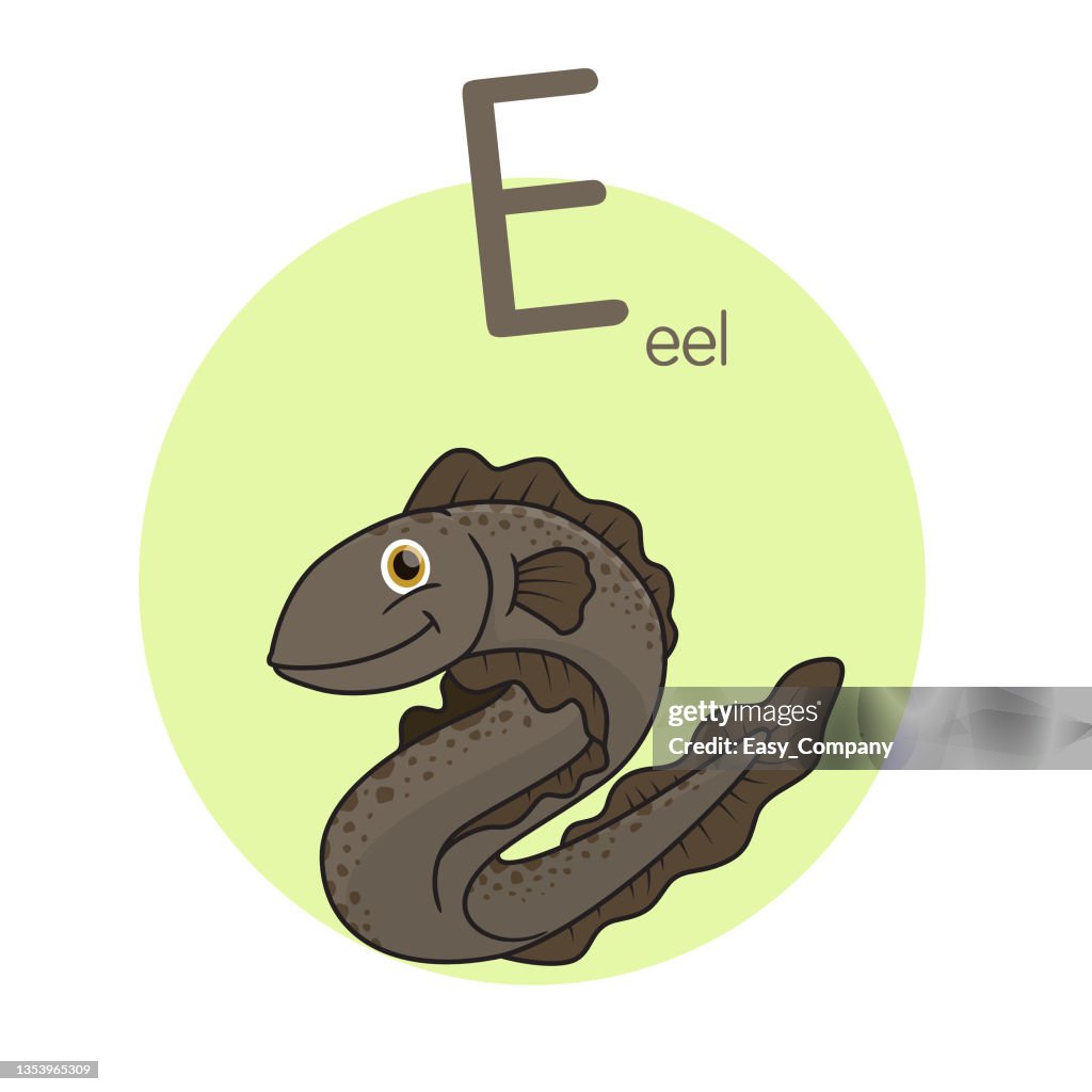 Vector illustration of Eel with alphabet letter E Upper case or capital letter for children learning practice ABC