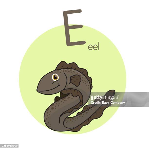 vector illustration of eel with alphabet letter e upper case or capital letter for children learning practice abc - kids at river stock illustrations