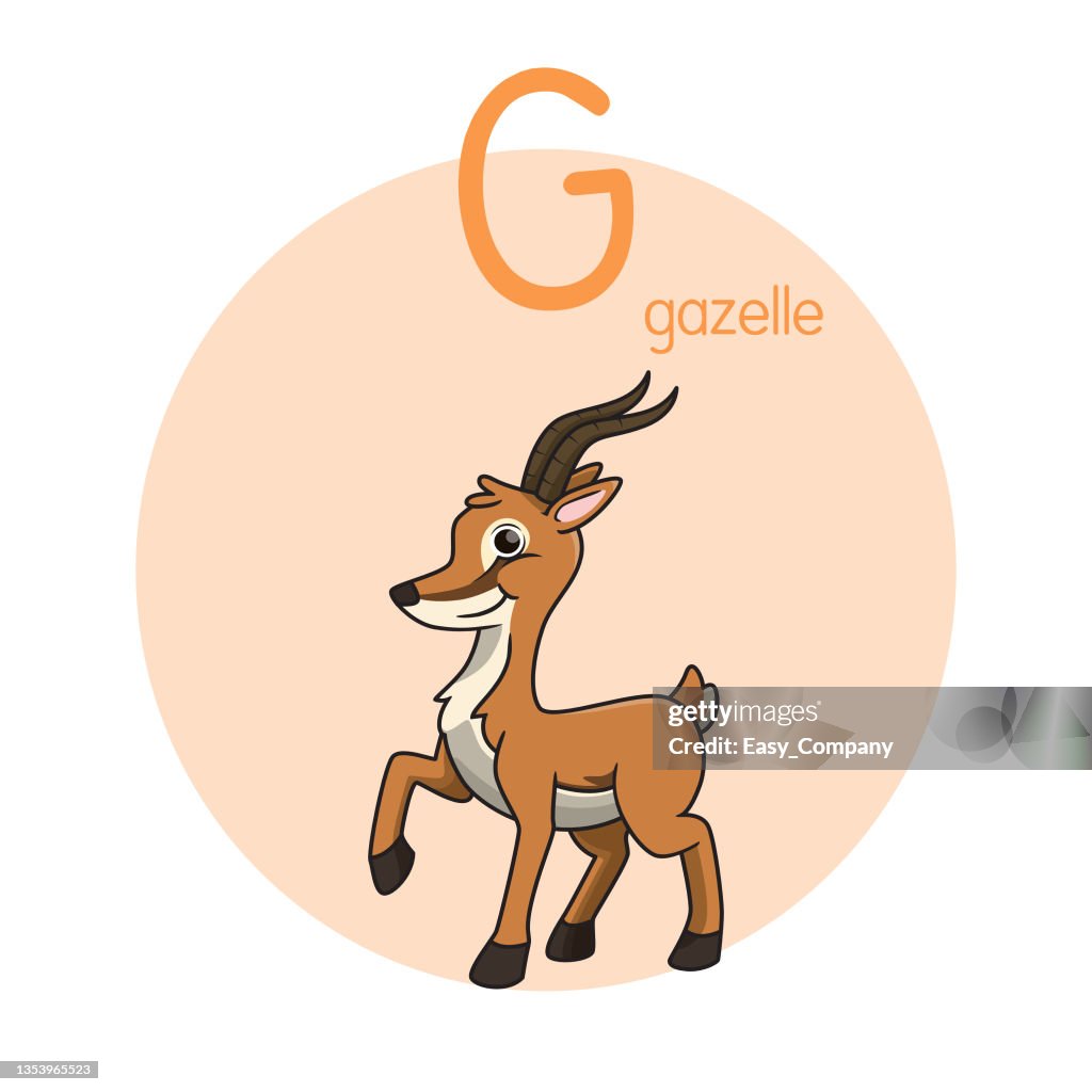 Vector illustration of Gazelle with alphabet letter G Upper case or capital letter for children learning practice ABC