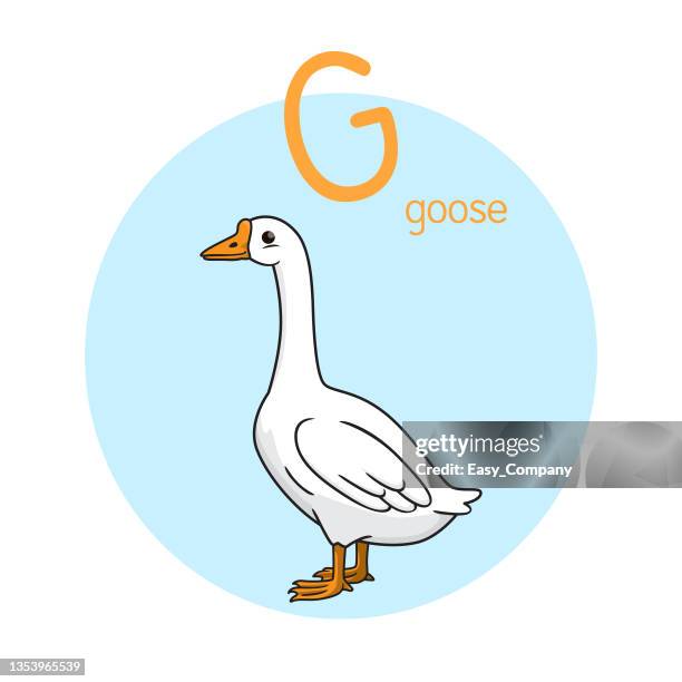 vektorabbildung von goose mit alphabetbuchstaben g großbuchstaben oder großbuchstaben für kinder lernpraxis abc - graugans stock-grafiken, -clipart, -cartoons und -symbole