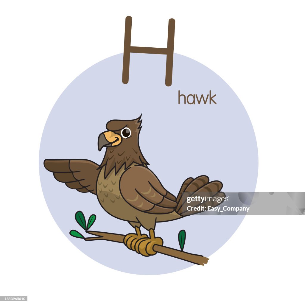 Vector illustration of Hawk with alphabet letter H Upper case or capital letter for children learning practice ABC