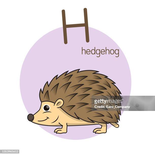 vector illustration of hedgehog with alphabet letter h upper case or capital letter for children learning practice abc - naughty in class stock illustrations