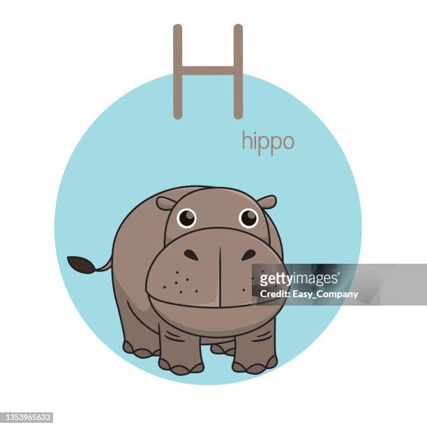 ilustrações de stock, clip art, desenhos animados e ícones de vector illustration of hippo with alphabet letter h upper case or capital letter for children learning practice abc - hipopótamo