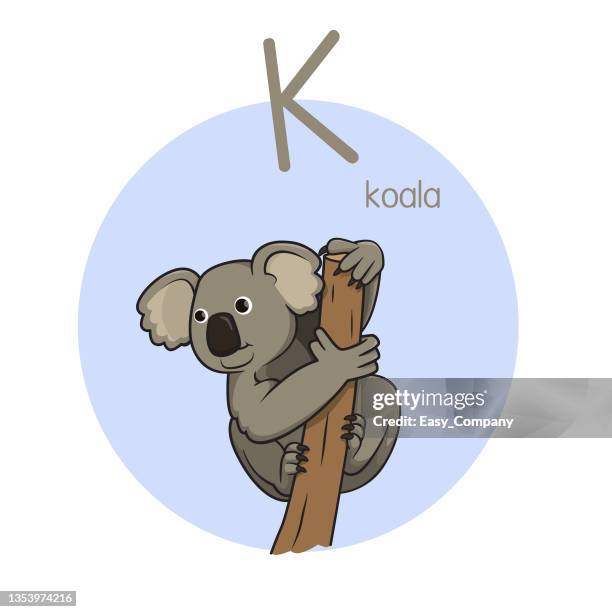 stockillustraties, clipart, cartoons en iconen met vector illustration of koala with alphabet letter k upper case or capital letter for children learning practice abc - koala