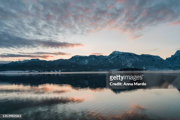 sunrise at lake forggensee in winter - bavaria winter stock pictures, royalty-free photos & images