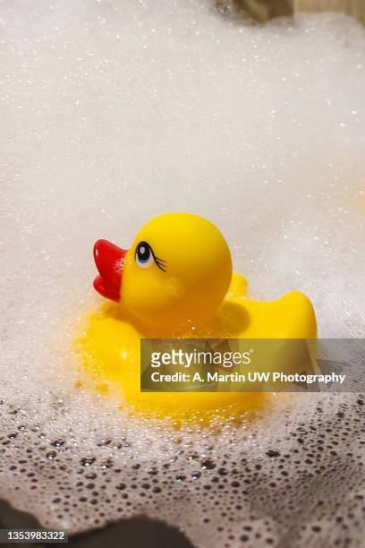 yellow rubber duck in the bath. - rubber duck ストックフォトと画像