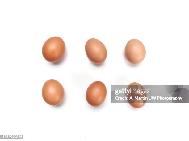 eggs on a white background. - oeufs photos et images de collection