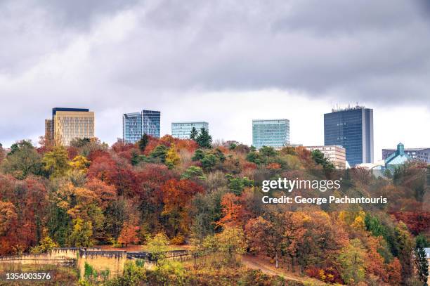 modern architecture in kirchberg area of luxembourg in autumn - european court of justice stock pictures, royalty-free photos & images