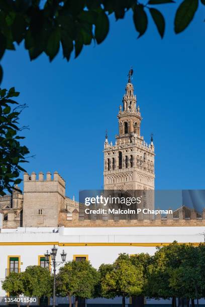 seville cathedral (catedral de santa maría de la sede), sevilla, andalusia - catedral de sevilla stock pictures, royalty-free photos & images