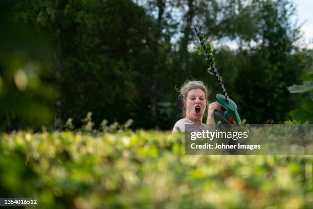 woman pruning hedge - shears stock pictures, royalty-free photos & images