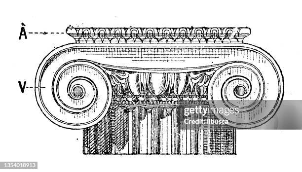 Capital Column Annotation Capital (Column) Photos and Premium High Res Pictures - Getty Images