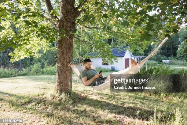 man lying in hammock in garden and using phone - hammock phone stock pictures, royalty-free photos & images
