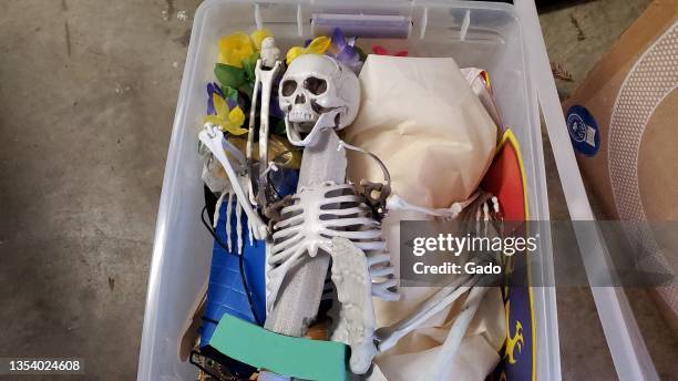 Skeleton Box Pvc 676 Plastic Skeleton Stock Photos, High-Res Pictures, and Images ...