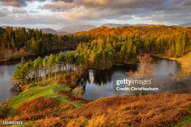 tarn hows sunset, lake district national park, england, uk - ambleside stock pictures, royalty-free photos & images