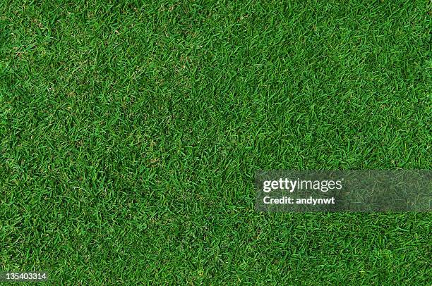 gras hintergrund (seamless - gras stock-fotos und bilder