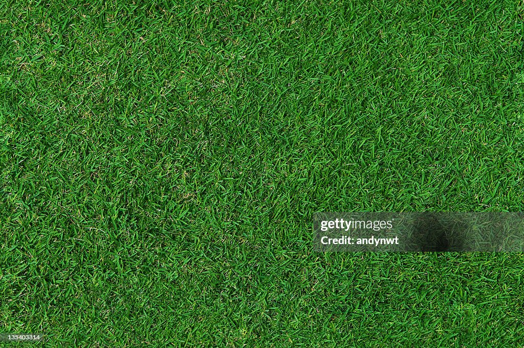 Grass Background (Seamless)