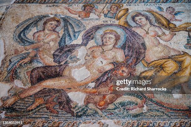 roman mosaic in house of aion, nea paphos, cyprus - paphos stockfoto's en -beelden